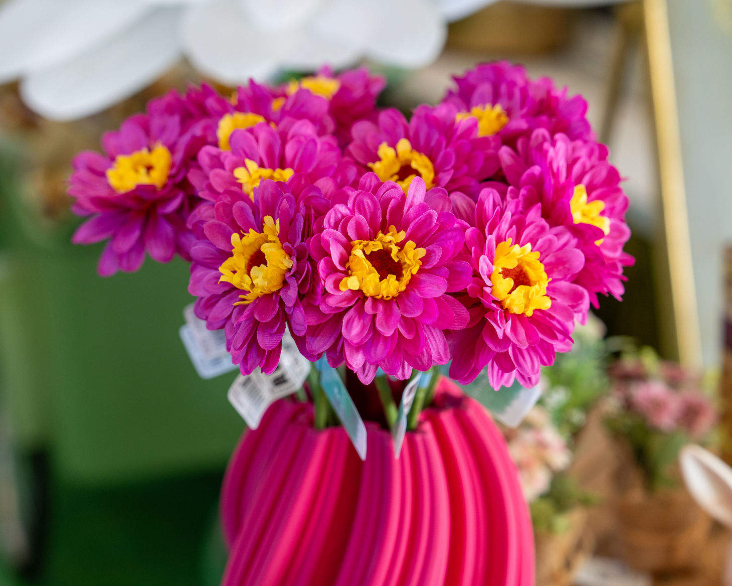 Primavera